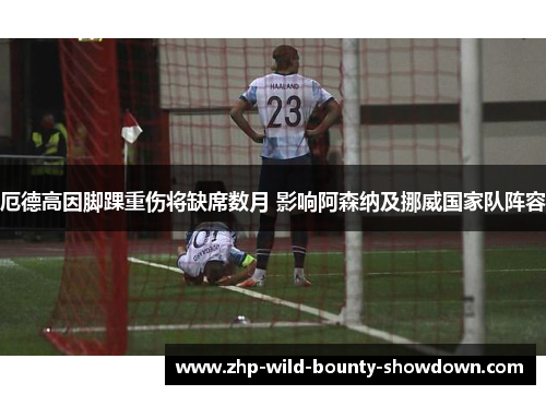 厄德高因脚踝重伤将缺席数月 影响阿森纳及挪威国家队阵容 厄德高因脚踝重伤将缺席数月 影响阿森纳及挪威国家队阵容
