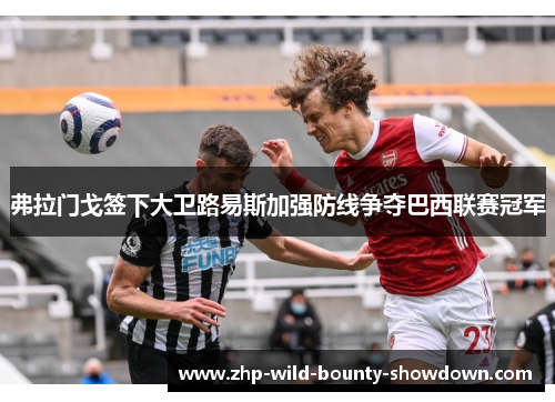 弗拉门戈签下大卫路易斯加强防线争夺巴西联赛冠军