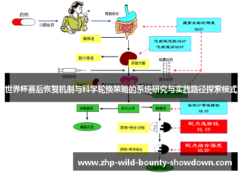 世界杯赛后恢复机制与科学轮换策略的系统研究与实践路径探索模式