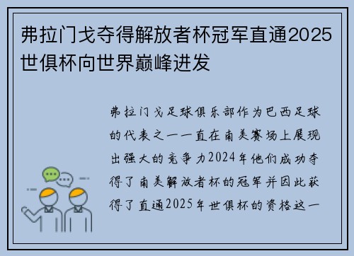 弗拉门戈夺得解放者杯冠军直通2025世俱杯向世界巅峰进发 弗拉门戈夺得解放者杯冠军直通2025世俱杯向世界巅峰进发